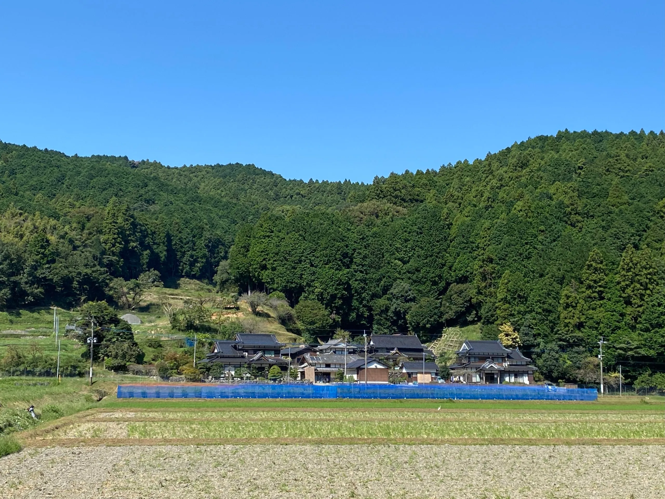 ブルーベリーファームきたら