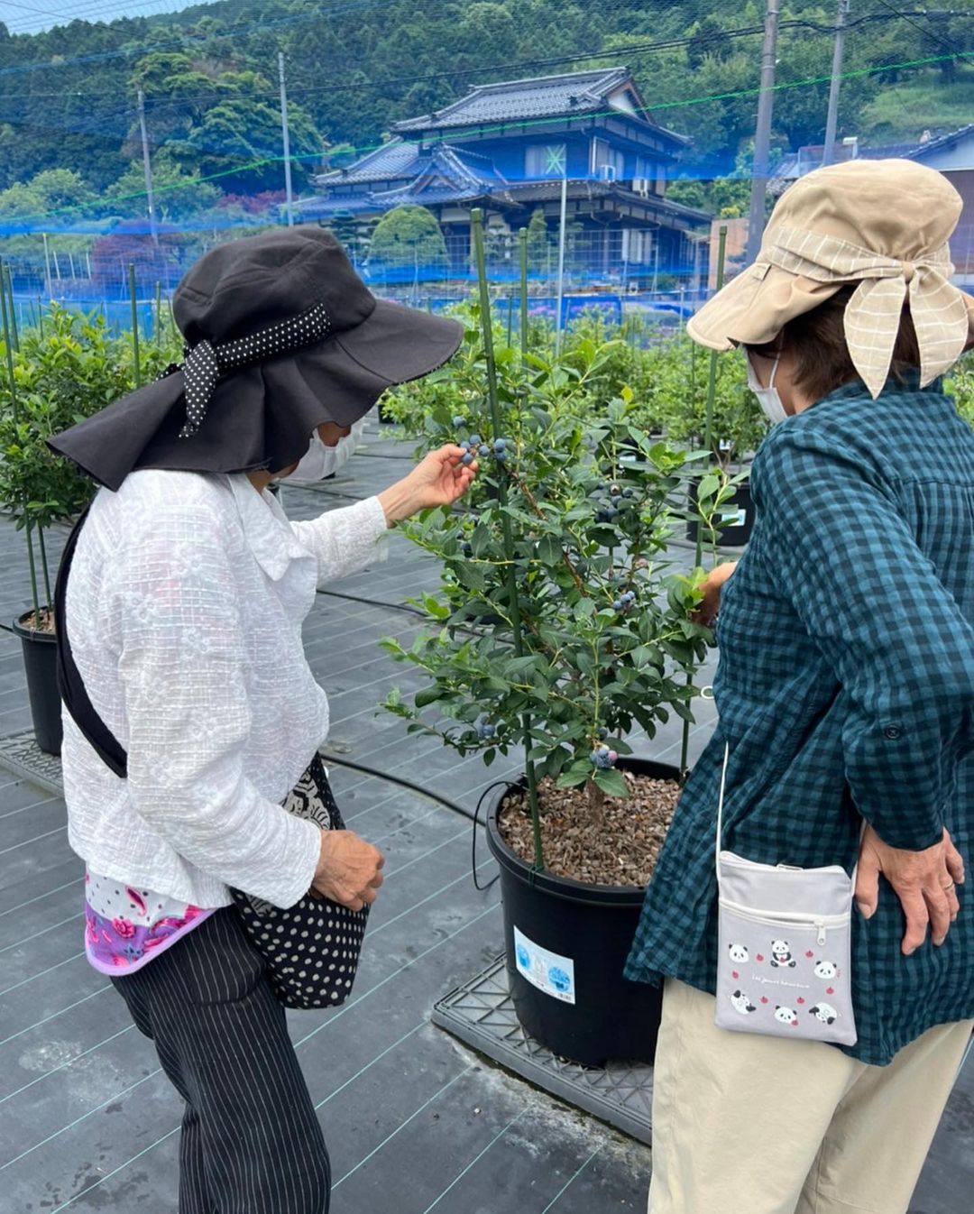 服装・持ち物について